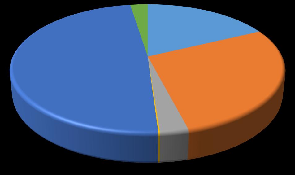 INVESTIMENTI GENERALI(S.I.I.) 2,47% ACQUEDOTTO 17,90% FOGNATURA 48,49% DEPURAZIONE 28,16% ENERGIA 0,14% DIVISIONE SISTEMI 2,84% Investimento Totale 2016 (ATO Monza e Brianza + Milano) I grafici che