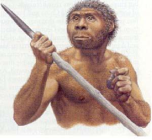 1.6 milioni di anni fa Vive l' Homo erectus, dotato di tratti particolarmente massicci e robusti.