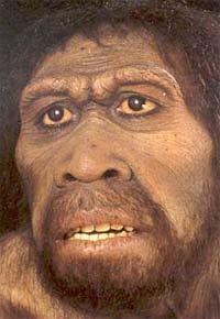 200.000 di anni fa Compariva l'homo sapiens, cioè l'uomo dotato di raziocinio.
