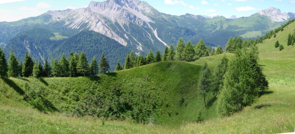 Dolina di suffusione (Sauris, UD) Affiorano arenarie e siltiti della Fm.