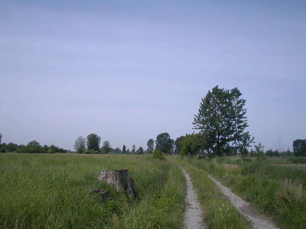 PGT Comune di Gambara (Bs) Relazione AGRONOMICA 3 1. PREMESSA L Amministrazione Comunale di Gambara ha incaricato lo scrivente Dott.