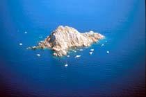 Molarotto L isolotto di Molarotto è uno scoglio che sorge nel golfo di Olbia al largo delle due isole; si tratta di un isolotto alto appena 50 metri sul livello del mare, che presenta una lunghezza