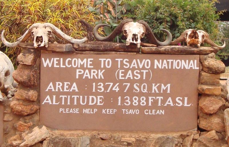 Monte Kenya (entrambi sopra i 5000 mt) sullo sfondo confusi fra le nuvole e la foschia.