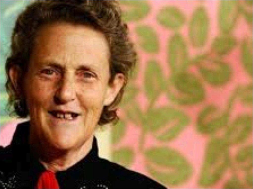 Una testimonianza: TEMPLE GRANDIN Secondo Temple Grandin esistono diversi tipi di Autismo, collocabili su di un continuum: BASSO FUNZIONAMENTO e ALTO FUNZIONAMENTO INDIVIDUI A BASSO FUNZIONAMENTO: