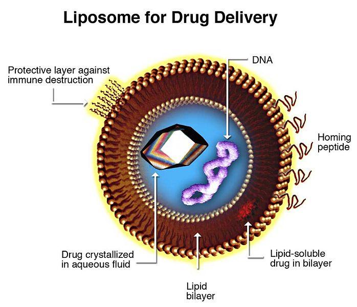 nanoparticle on