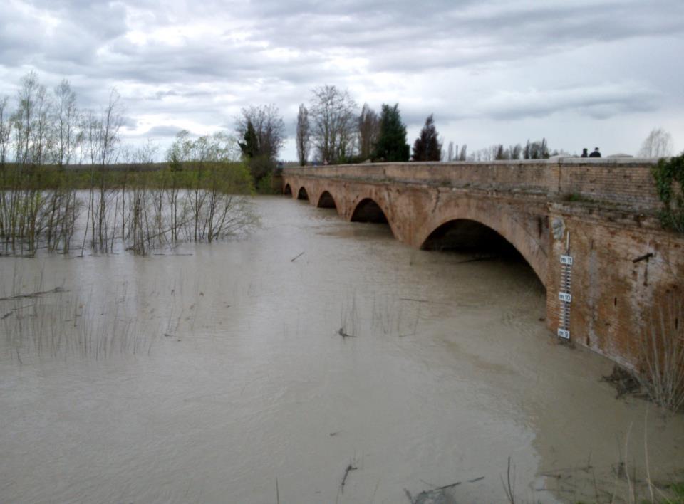 2013: SORVEGLIANZA