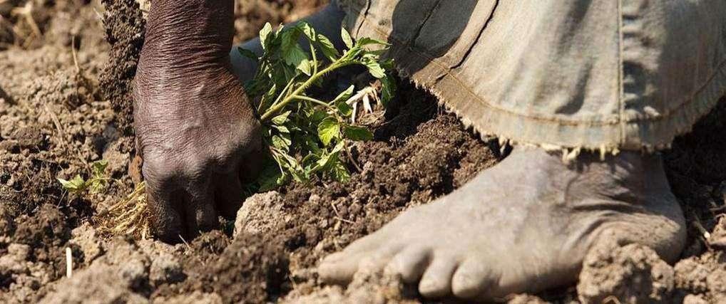 Intensificazione Sostenibile delle produzioni agricole CIB Back to Earth Roma, 14 febbraio 2018 7 L Intensificazione Sostenibile delle rese agrarie