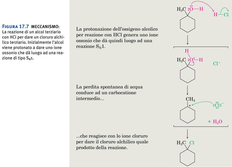 Alcoli: formazione di alogenuri alchilici Figura 17.
