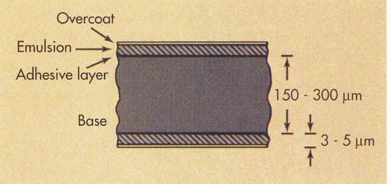 Struttura di una Lastra: l Emulsione Composta da un misto di gelatina e cristalli di alogenuro di argento Da 3 a 5 µm m di spessore