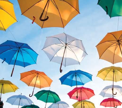 Umbrellas & Raincoat Maxi