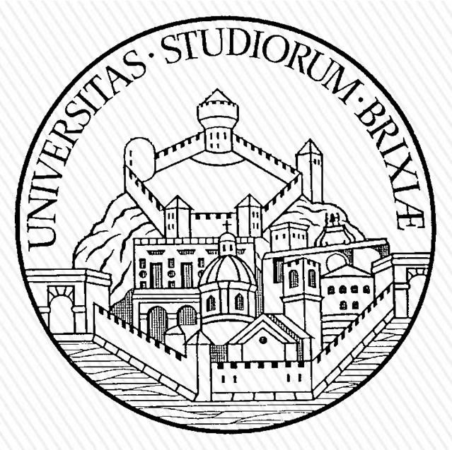 Università degli Studi di Brescia INFORMATICA EXCEL Docente: Marco Sechi E mail: marco.sechi@unibs.it Vers. 11/10/2016.