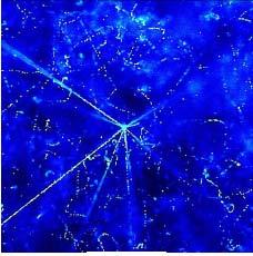 Emulsioni Fotografiche Nei primi esperimenti con i raggi cosmici si