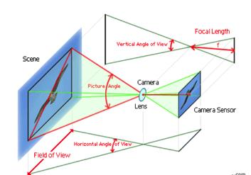 LE OTTICHE Field Of View (FoV) : è l area inquadrata dalla lente e riportata sul sensore della telecamera Magnification: rapporto tra dimensione del sensore ed area inquadrata Working Distance (WD) :