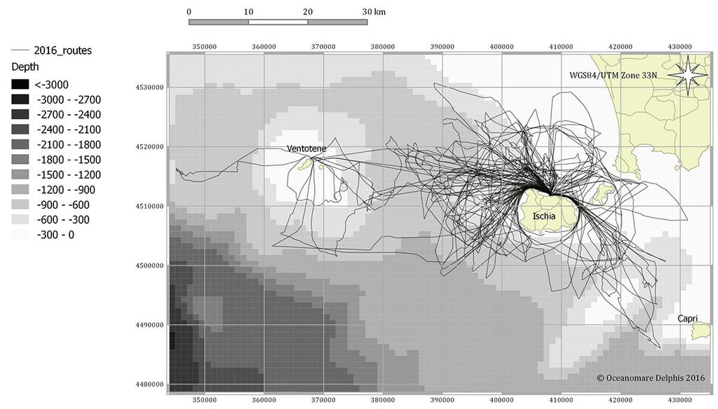 Figura 1. Rotte 2016. Durante il periodo dello studio, i cetacei sono stati incontrati 45 volte. Gli animali sono stati seguiti per 304 km e osservati per 67 ore. Figura 2.