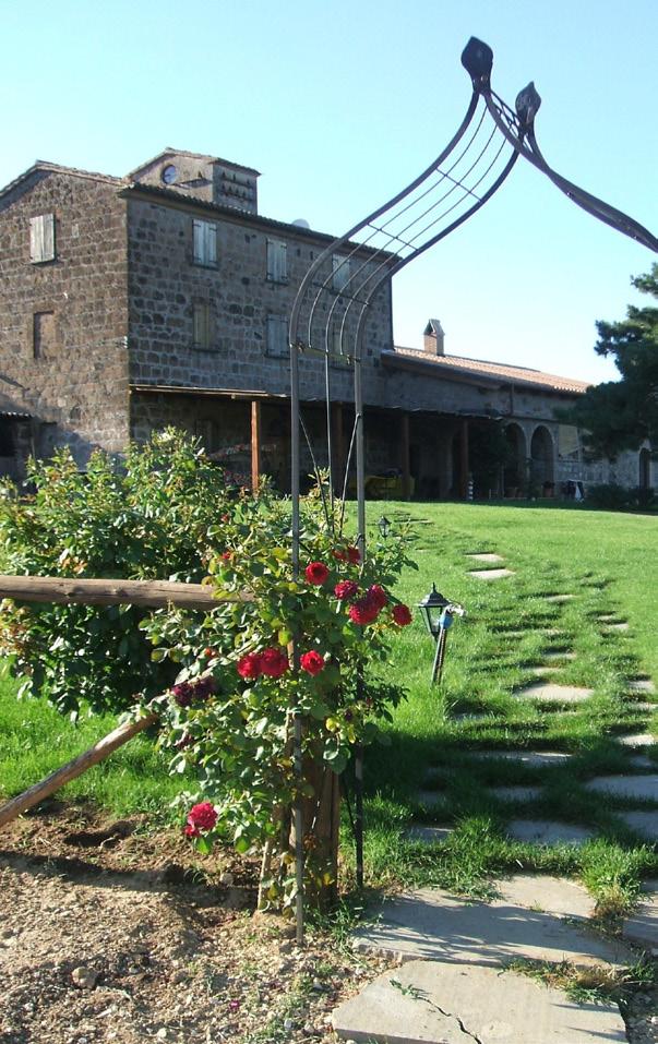 hanno portato allo studio del territorio, del clima e delle diverse tipologie di vitigni