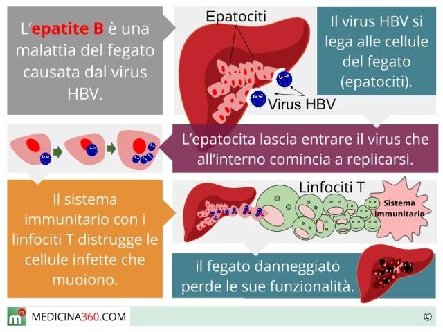 EPATITE B L agente causale è un virus ( HBV ) che resiste bene agli agenti fisici e chimici ( resta attivo per 7 giorni a temperatura ambiente ).