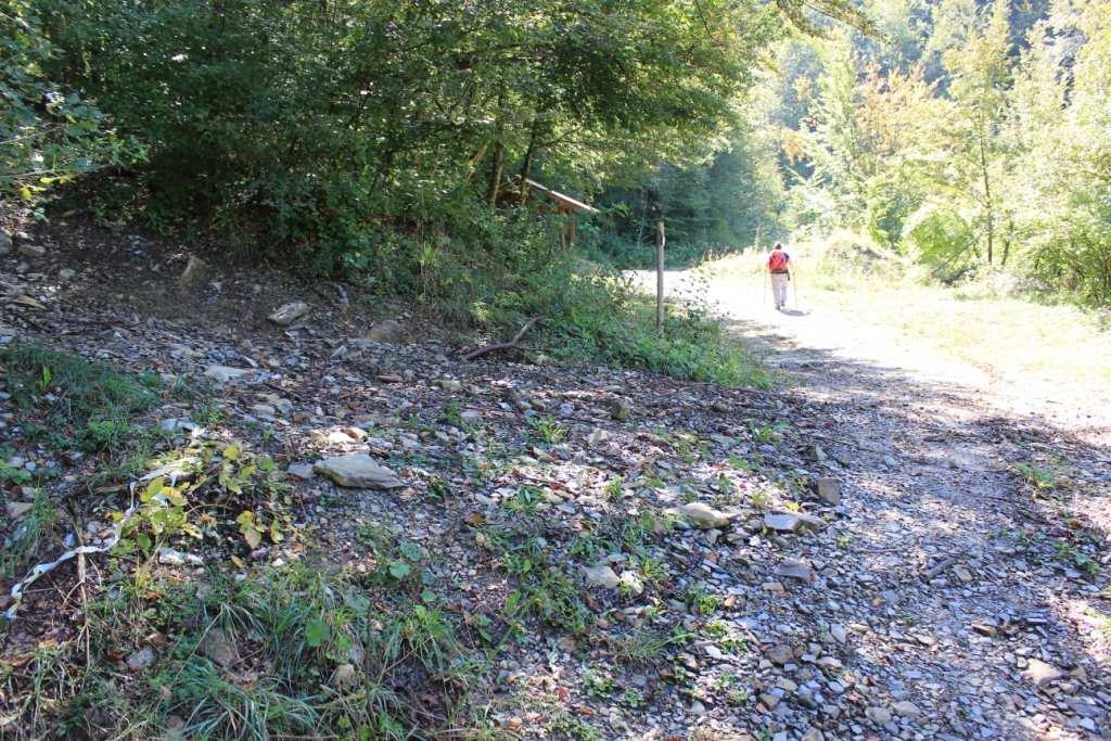 prevalentemente nel bosco Si trova poi un incrocio ad Y dove si tiene la