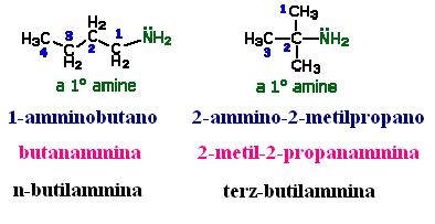 omenclatura 3 sono i sistemi che vengono utilizzati comunemente : 1. Il sistema IUPAC nomina il gruppo amminico come sostituente della catena alchilica più lunga.
