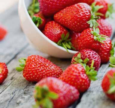 BASI FRUTTA Le basi frutta Leagel esaltano il sapore della frutta donando al gelato la freschezza e la genuinità tipiche della frutta appena raccolta e permettono di ottenere un gelato corposo e