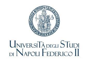 Giancarlo Vecchio Programma di Scienze- Scientiam Inquirendo Discere SID Anno scolastico 018-19 Università degli Studi di Napoli Federico II - 1.