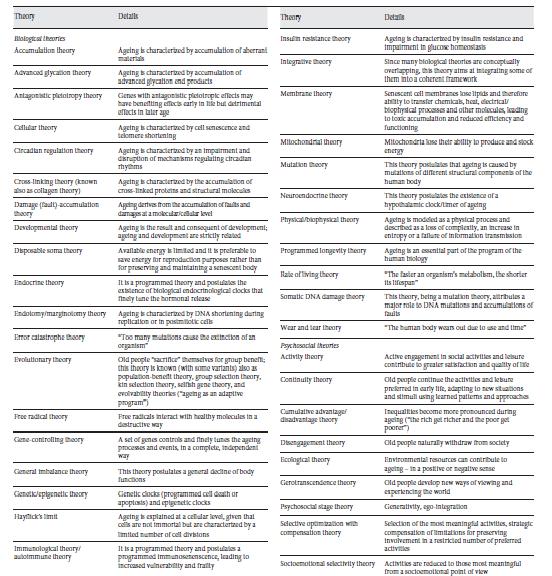 Principali Teorie sull Invecchiamento Immunological theory/ autoimmune theory It is a programmed