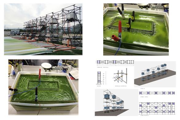 Progetto Alghe Per la produzione di biocarburanti di terza generazione,