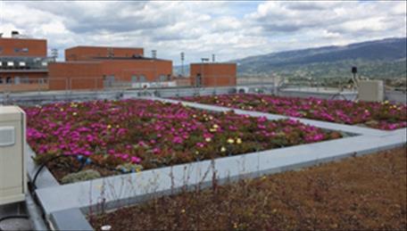 Progetto Green Roof