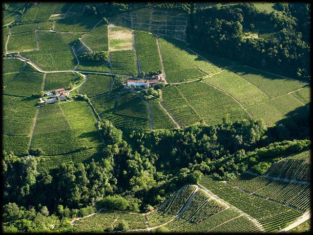 paesaggi vitivinicoli del Piemonte: