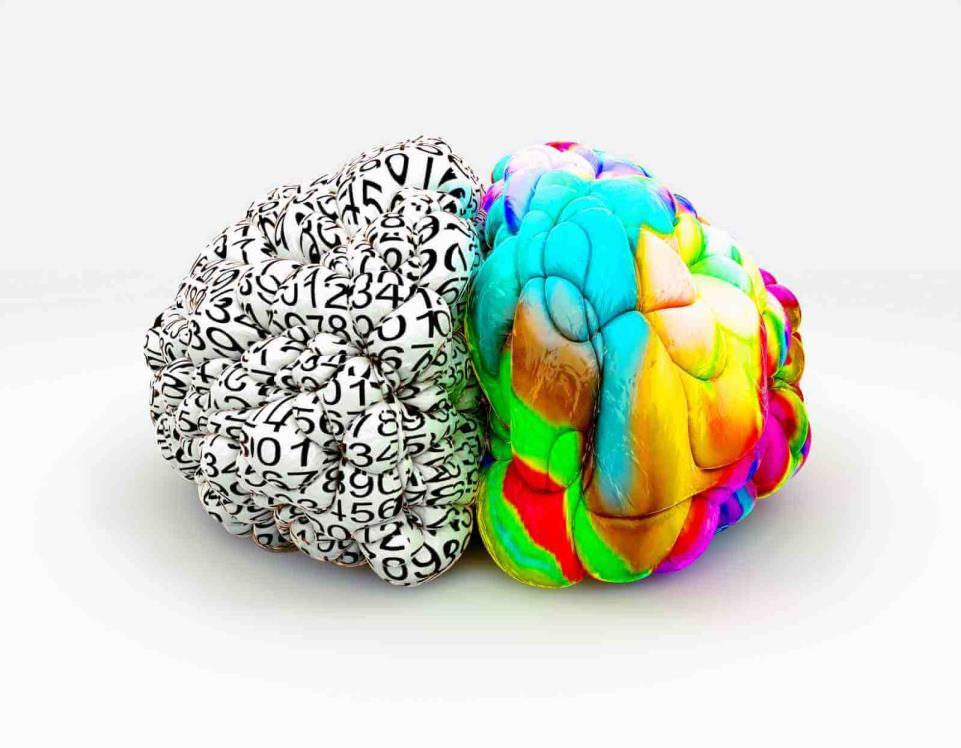 L emisfero destro riveste un ruolo fondamentale nella formazione di idee creative: le sue caratteristiche