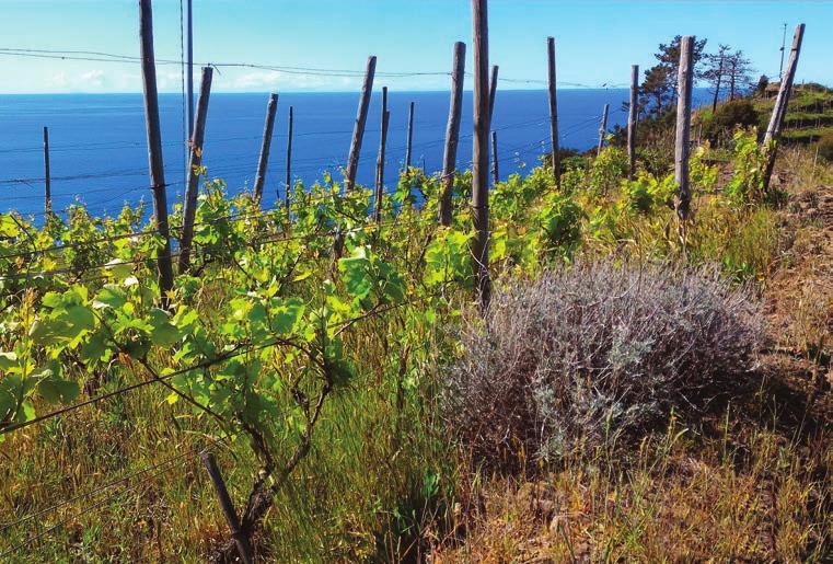 Vita dell acqua: una goccia per Terra e Mare L acqua è uno degli elementi indispensabili alla vita e lega terra e mare indissolubilmente.