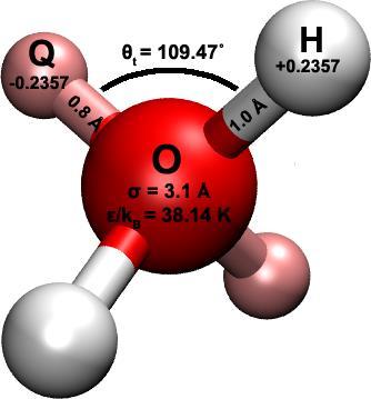 HDL e LDL coesistono a ~ 228 K e pressione ambiente.