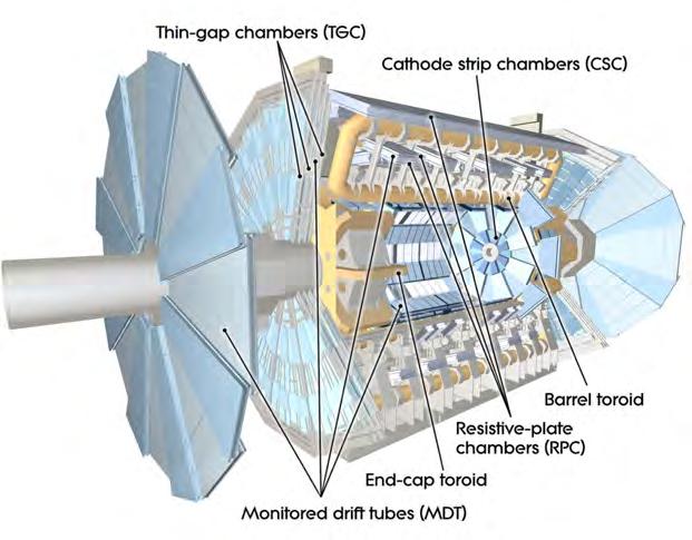 34 CAPITOLO. LHC E L ESPERIMENTO ATLAS Fig..15: Lo spettrometro a muoni di ATLAS si trova nella parte più esterna di ATLAS.
