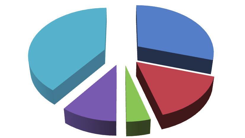 Figura 30 Formazione di Base: distribuzione dei proge forma vi per classi di durata in ore, 2009 Sino a 8 ore 40% Oltre 40 ore 30% Da 31 a 40 16% Da 9 a 20 10% Da 21 a 30 4%