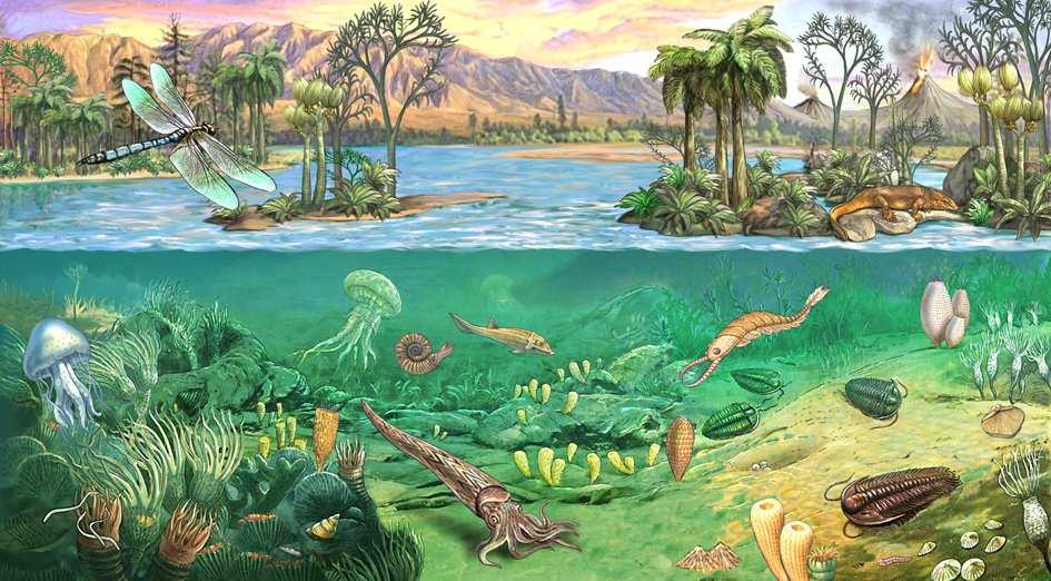 PALEOZOICO LE TRE ERE GEOLOGICHE Le ere geologiche sono state suddivise in periodi,e i periodi in epoche. Nel primo periodo del paleozoico erano già presenti due diversi modelli di animali.