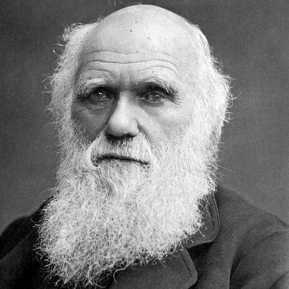 CHARLES DARWIN Charles Darwin, un naturalista inglese, fu il primo a studiare l origine dell uomo. Nel 1831 partecipò a una spedizione intorno al mondo a bordo del brigantino Beagle.