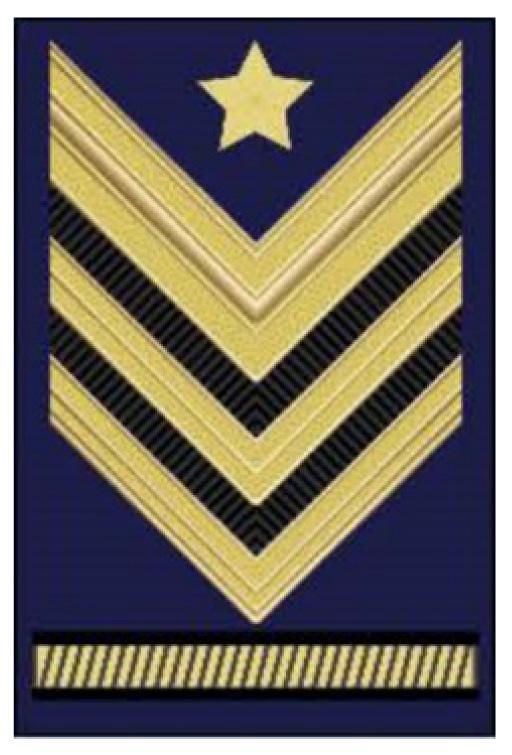 Allegato al foglio ARM001 REG2018 0108557 18-10-2018 del 18-10-2018 SERGENTE MAGGIORE CAPO QUALIFICA SPECIALE Distintivo di qualifica Il distintivo di Sergente Maggiore Capo «Qualifica Speciale» è