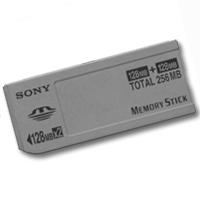 Memorie Flash Le Flash memory sono memorie a stato solido (non hanno parti in