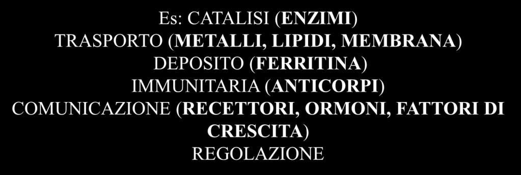 ripiegano a gomitolo conferendo così alla proteina una forma globulare PROTEINE