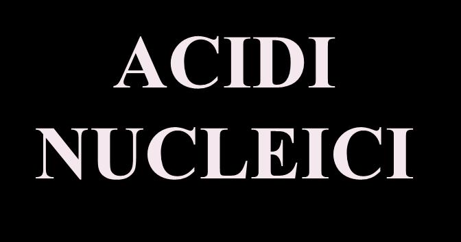 Nucleotide Nucleotide Nucleotide