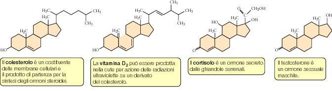 STEROIDI