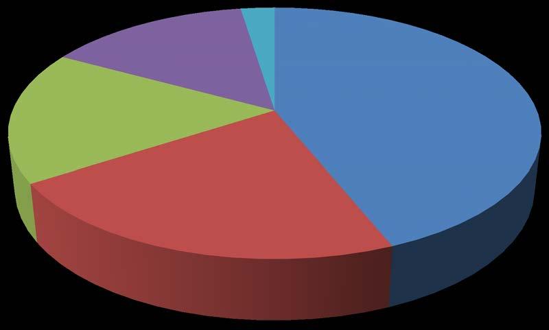 44% Consulenza 17% Top Management 22% Dal seguente grafico emerge che il 44% dei partecipanti è costituito da professionisti appartenenti all area Hr e
