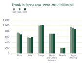 quella assoluta Fonte: FAO Global Forest Resources