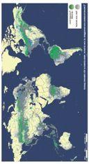 importanza della tutela delle residue foreste primarie Copertura forestale (%) Inversione del trend Copertura forestale (%) Italia (