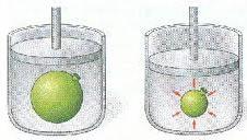 viene trasmessa in modo uguale da un altra parte Pascal (1623-1662) disse: La pressione esercitata sulla superficie di un