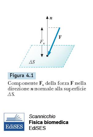 Pressione Consideriamo una forza F che agisce su un elemento di superficie ΔS.