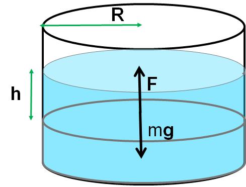 Equilibrio di un fluido Sugli elementi di un fluido pesante agiscono