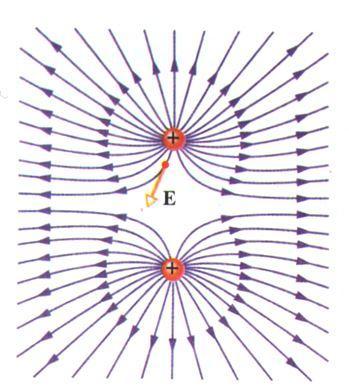Linee di foza del campo elettico () Campo geneato da caiche uguali puntifomi positive Le linee di foza non si chiudono (poiché le due caiche si espingono) ma teminano su oggetti lontani caicati