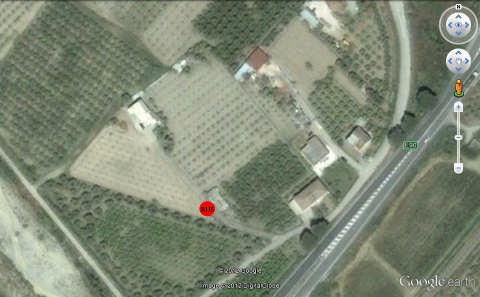 Pos.R115 (spot) = Zona a ridosso limite di proprietà a circa 10 mt Sud/Est da abitazione. Località Nova Siri Marina area d indagine ubicata all incirca al Km. 414+720 della S.S.106 (rif.