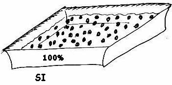 5 m Tipo di flusso: Increspato/Rippled (RP), Liscio/Smoth (SM) 2 Separare lʹeventuale vegetazione fluitante intorno al cavo sospensore 3 Recuperare gli SA con l ausilio di un retino Raccolta