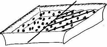 ) Punto di ancoraggio Stima della profondità cui si trovano SA al momento del prelievo L = Distanza SA punto di ancoraggio Superficie acqua Flusso A < 30 B C >70 A profondità SA = L B